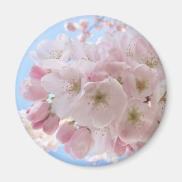 Rosa Blommor Blå Himmel. Magnet