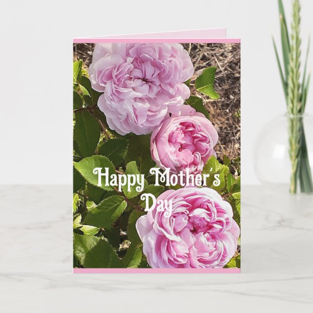 Rosa blommor Blommande Rosor Mors Dagskort Kort (Framsida)