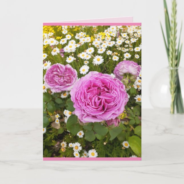 Rosa blommor Blommande Rosor Tusenskönor Hälsninga Kort (Framsida)