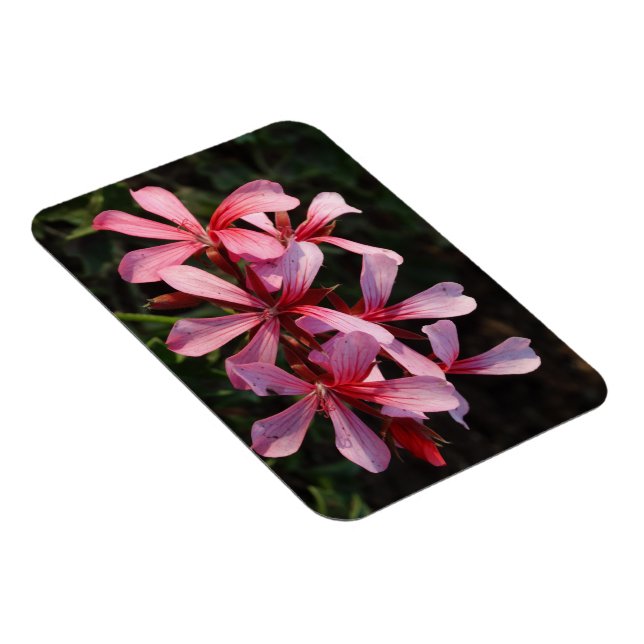 Rosa blommor Foto Magnet (Högersidan)