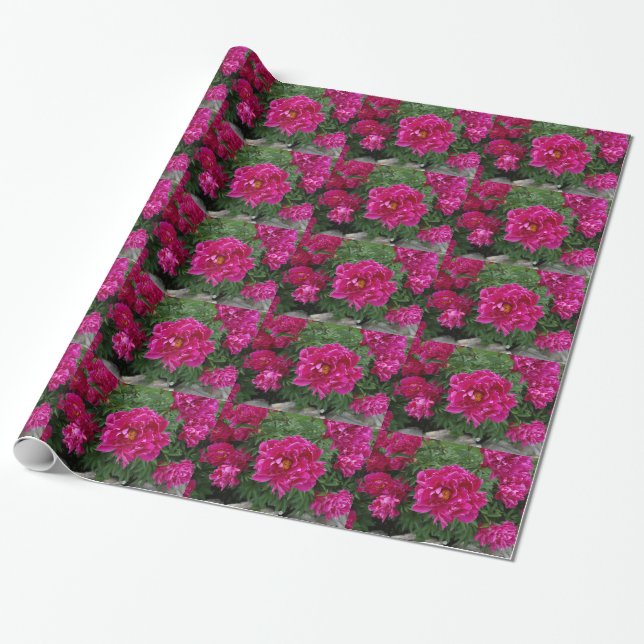 Rosa blommor Fotografering Inpackningspapper Presentpapper (Utrullad)