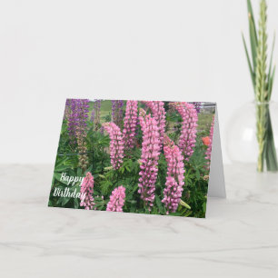 Rosa blommor Grattis på födelsedagen Kort