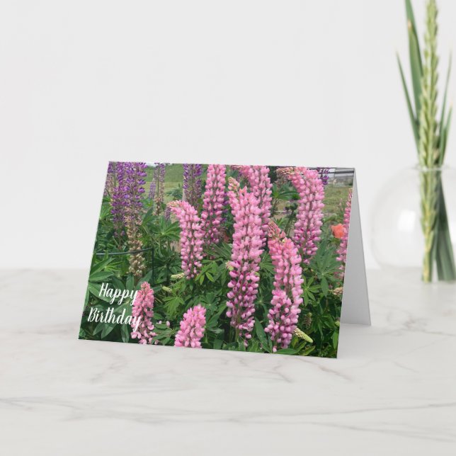 Rosa blommor Grattis på födelsedagen Kort (Framsida)