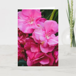 Rosa blommor gratulationskort kort