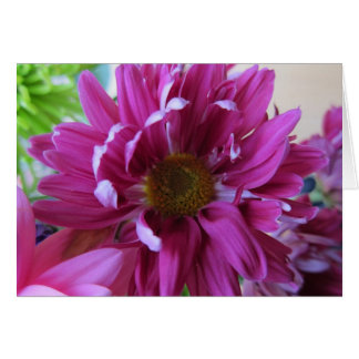 Rosa blommor hälsningskort