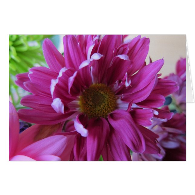 Rosa blommor hälsningskort (Framsidan Horizontal)