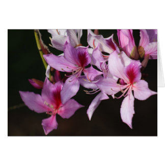 Rosa blommor hälsningskort