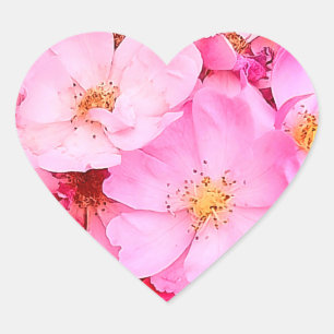 Rosa blommor hjärtformat klistermärke