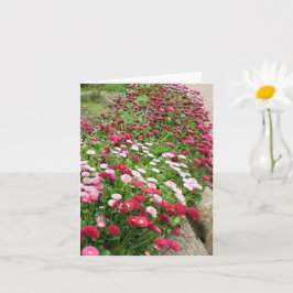 Rosa blommor i blom kort