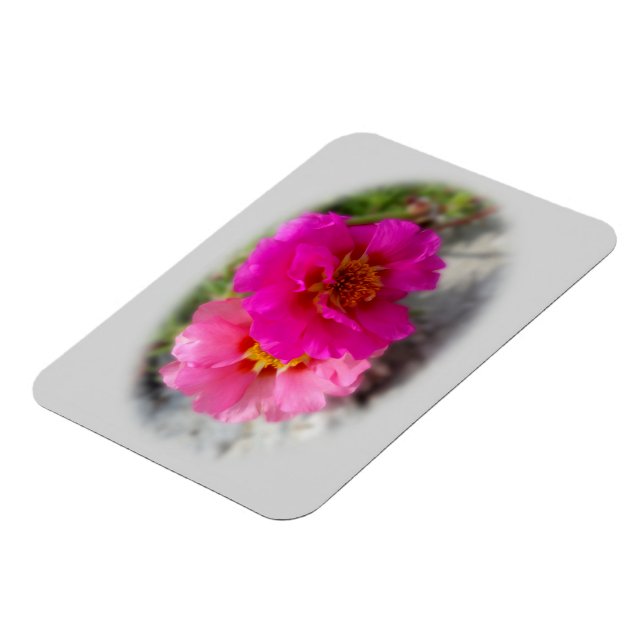 Rosa blommor i sol magnet (Vänstra Sidan)