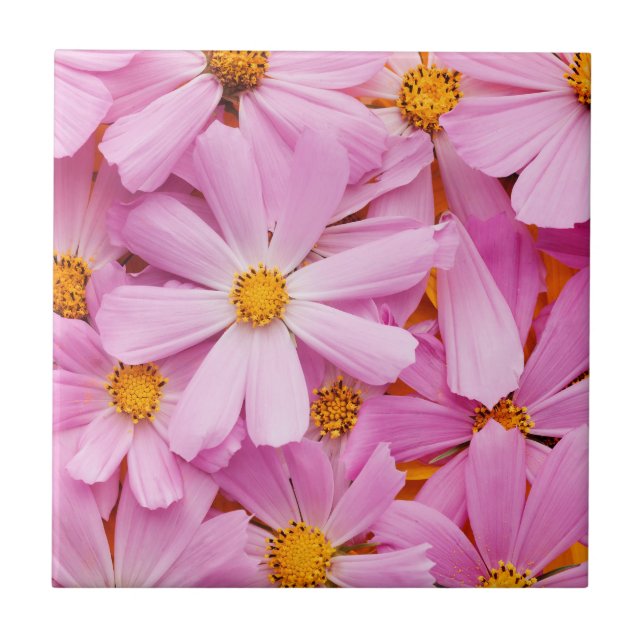 Rosa blommor kakelplatta (Framsidan)