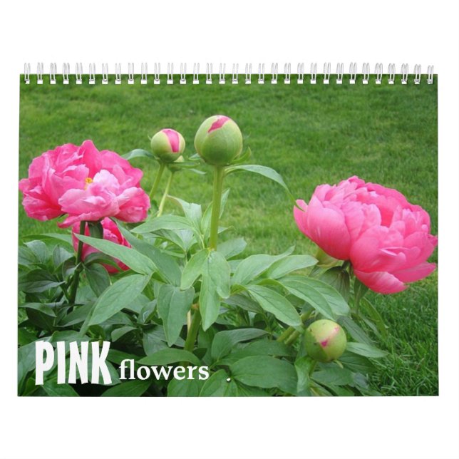 Rosa blommor kalender (Omslag)