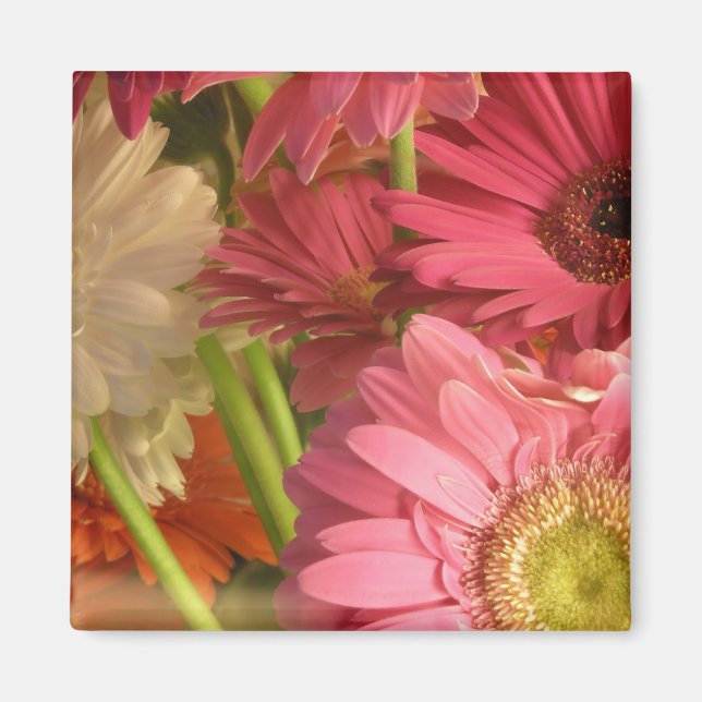 Rosa blommor magnet (Framsidan)