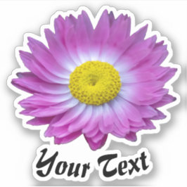 Rosa blommor med gult frimärke i vår st klistermärken