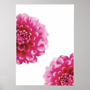 rosa Blommor morsa Poster