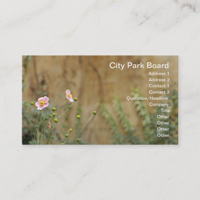 Rosa blommor mot en kyrkomur visitkort (Framsida)