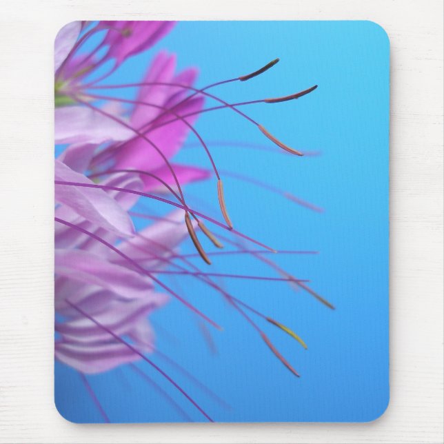 Rosa blommor musmatta (Framsidan)