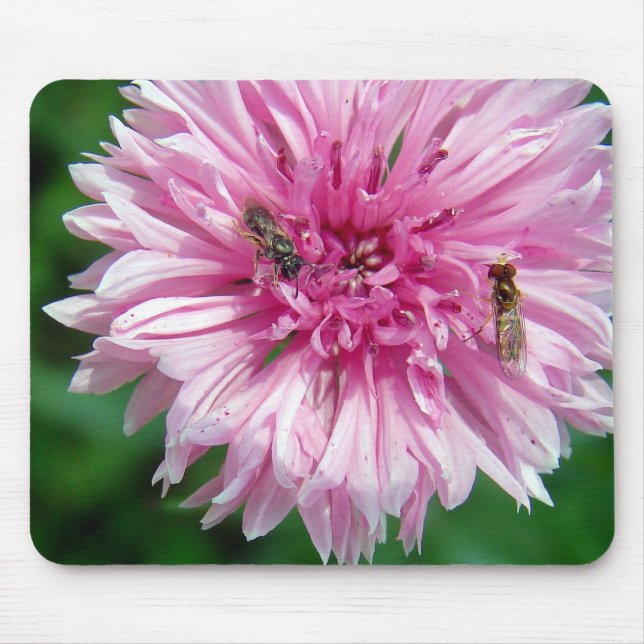 Rosa Blommor och Insekter Musmatta (Framsidan)