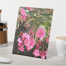 Rosa blommor på träd