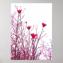 rosa blommor poster
