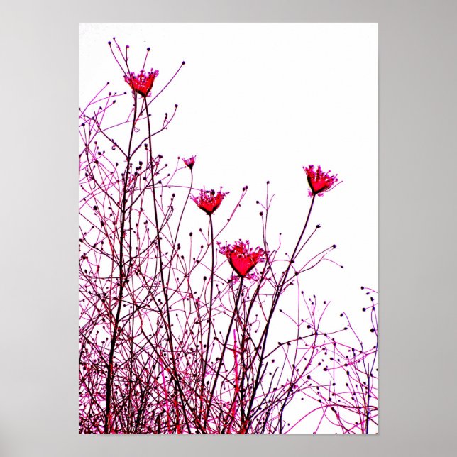 rosa blommor poster (Framsidan)