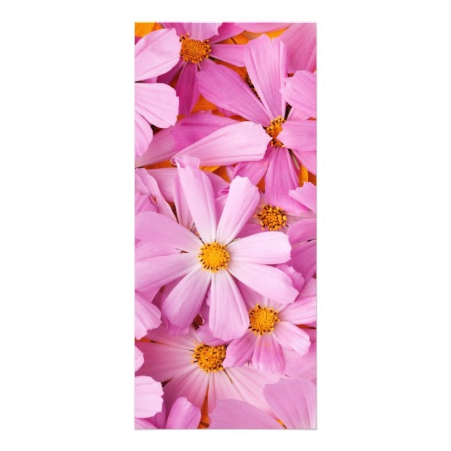 Rosa blommor reklamkort (Framsidan)