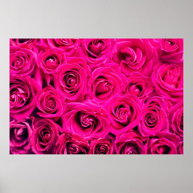Rosa Blommor ro bakgrund Poster (Framsidan)