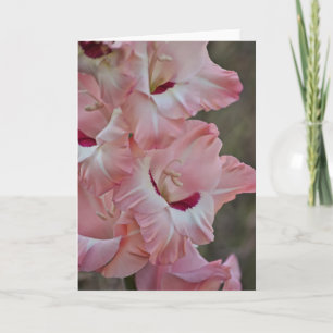 Rosa Blommor till Gladiolus Art Note Card Kort