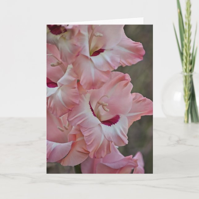 Rosa Blommor till Gladiolus Art Note Card Kort (Framsida)