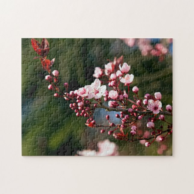 Rosa blomning i det varma sommarljuset pussel (Horisontell)