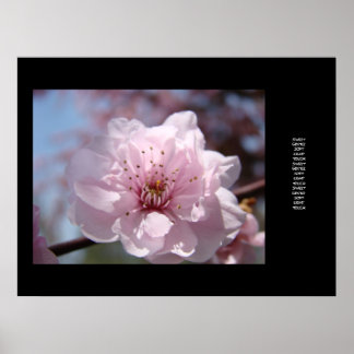 Rosa blomster Art Prints Anpassa text Blommor Poster