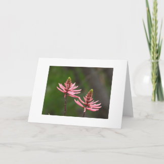 Rosa blomsteraxlar naturfotokort med tomt inre kort