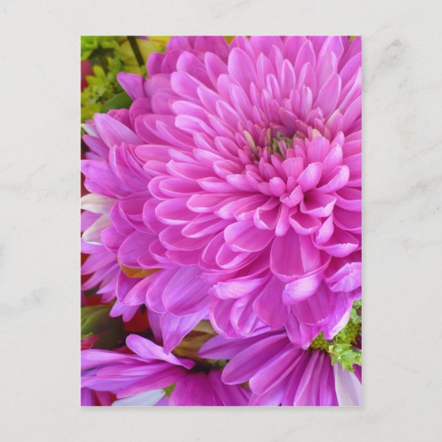 Rosa blomstereffekt vykort (Framsida)