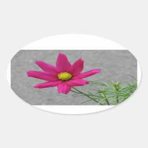 Rosa Blomstermärken för anpassningsbar Ovalt Klistermärke