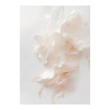Rosa blomstertryck i abstrakt stil | Mjuk kronblad
