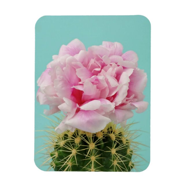 Rosa Bloom Atop Spiky Cactus Magnet (Vertikal)