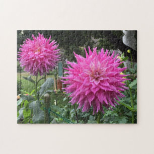 Rosa Blooming Dahlia Flowers Pussel