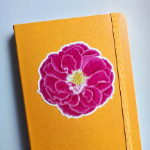 Rosa Blooming Ro Botanical Art Sticker