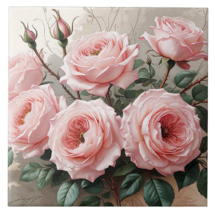 Rosa Blooming Ro Kakelplatta