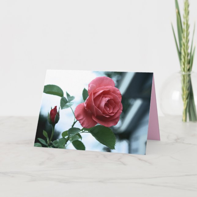 Rosa Blooming Ro Lycklig Mors dag-kort Kort (Framsida)