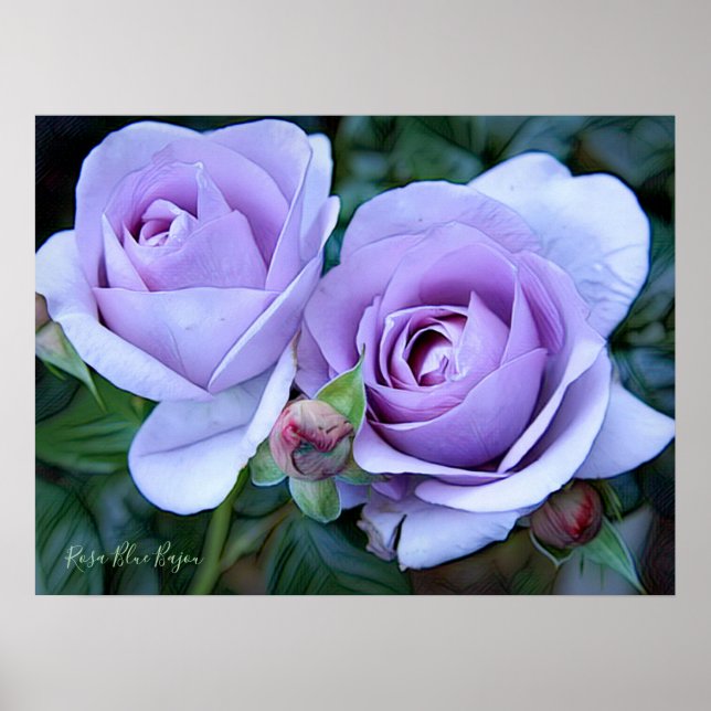 Rosa Blue Bajou [Archive Heavy Weight Papper] Poster (Framsidan)