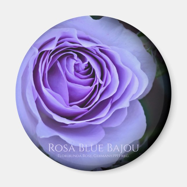 Rosa Blue Bajou Magnet (Framsidan)