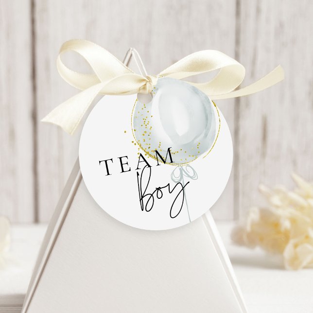 Rosa & Blue Balloon Gender Reveal Team Boy Gåvor Etiketter (Skapare uppladdad)