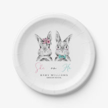 Rosa & Blue Bunny Gender Reveal Shower