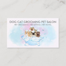 Rosa  Blue Hundar cat spa Pet Groomer