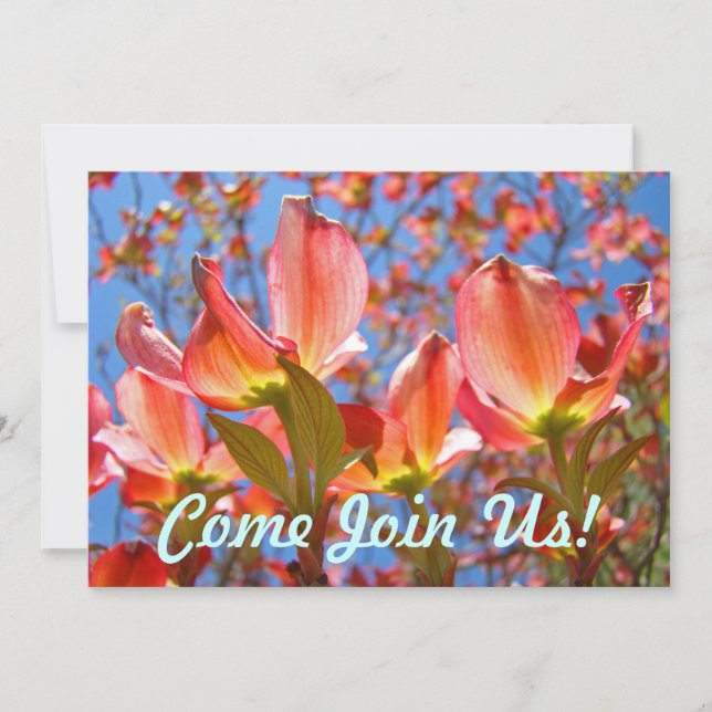 Rosa Blue Investigation Dogwood Träd Flowers Blomm Inbjudningar (Framsida)