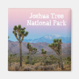 Rosa Blue Joshua Träd nationalpark Souvenir Magnet