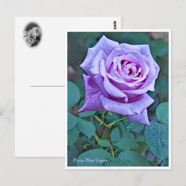 Rosa Blue Vague Vykort (Fram/baksida)