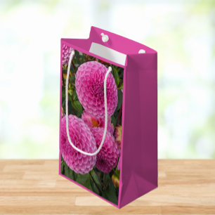Rosa Boll Dahlias Blommigt