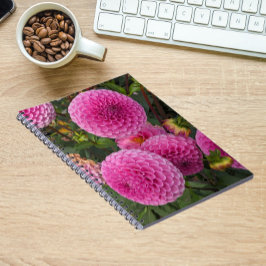 Rosa Boll Dahlias Blommigt Anteckningsbok